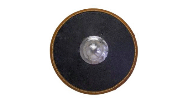 Eastern shield Kalkan