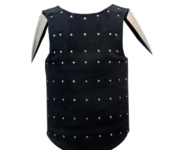 Visby Brigandine Type 1