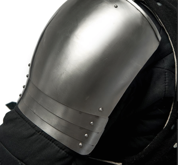 Plate shoulders of Sir Miles Stapleton