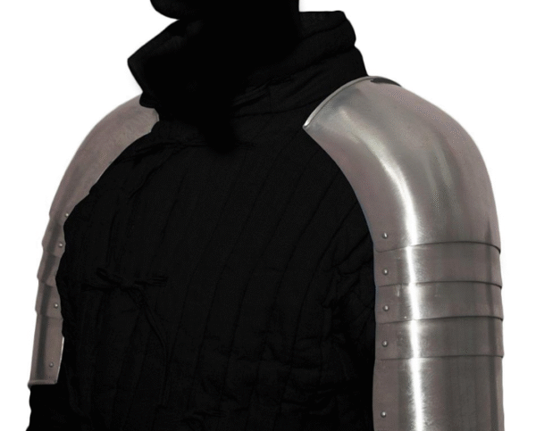 Plate shoulders of Sir Miles Stapleton long